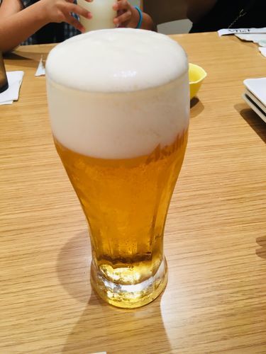 f:id:kennobuyoshi:20190114125435j:plain