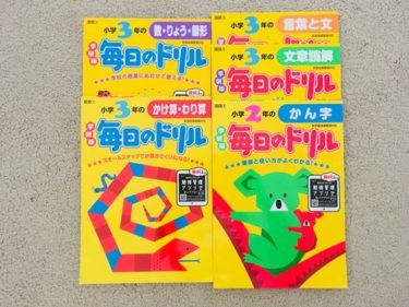 日本語維持は？進行形バイリンガールパート 日本語維持編１【ハワイ移住２年】