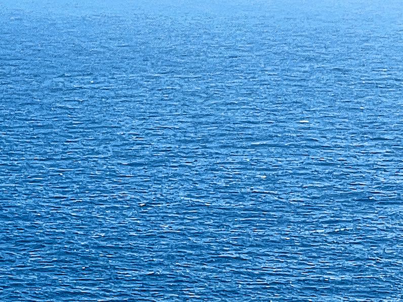 マカプウトレイルくクジラが現れる海
