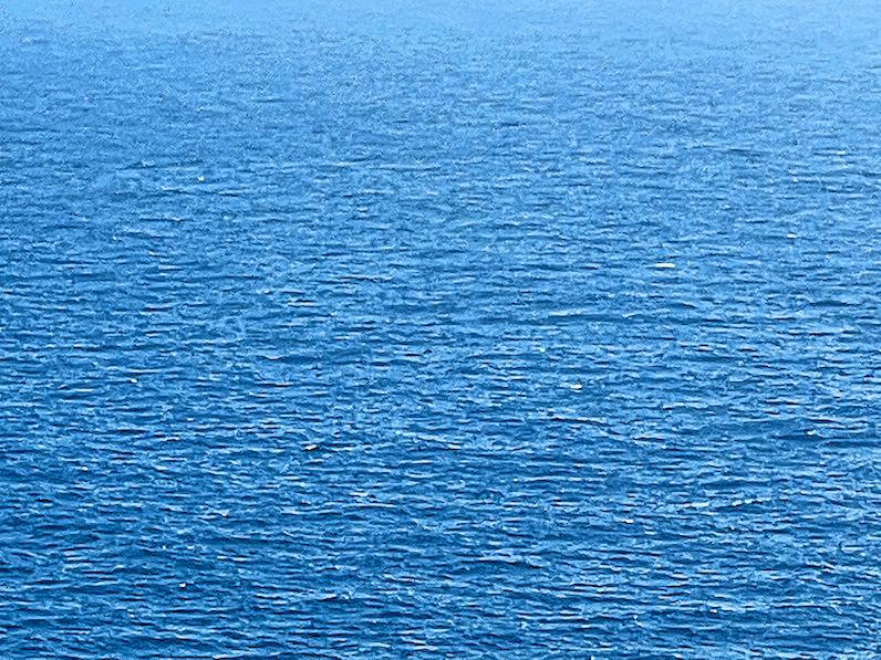 マカプウトレイルくクジラが現れる海