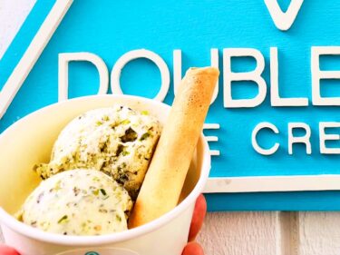 【ワイキキでアイス！】ダブルファット・アイスクリームの個性的なアイスを楽しもう！