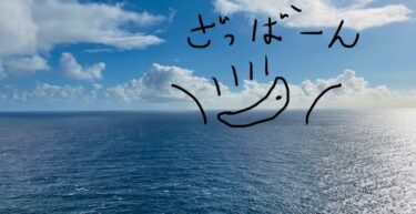 【クジラをめぐる冒険2月編】マカプウ岬でクジラを見る！今年こそリベンジ！