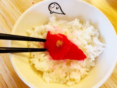 ドラゴンフルーツの皮に醤油つけるとマグロ味になるって？試してみた！〜ハワイで見つけた食材27〜