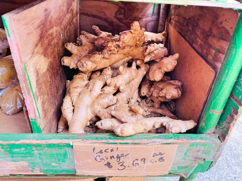 ハワイ産の生姜