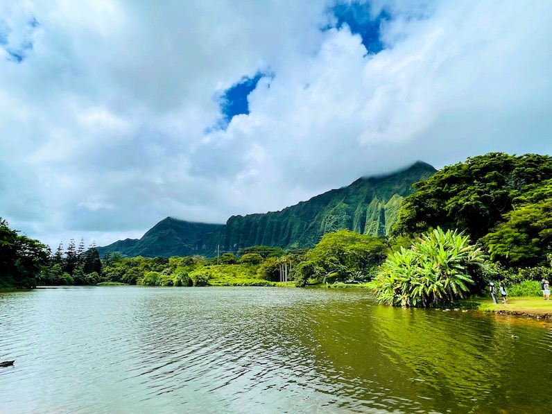 ホオマルヒア植物園の絶景「コウラウ山脈」