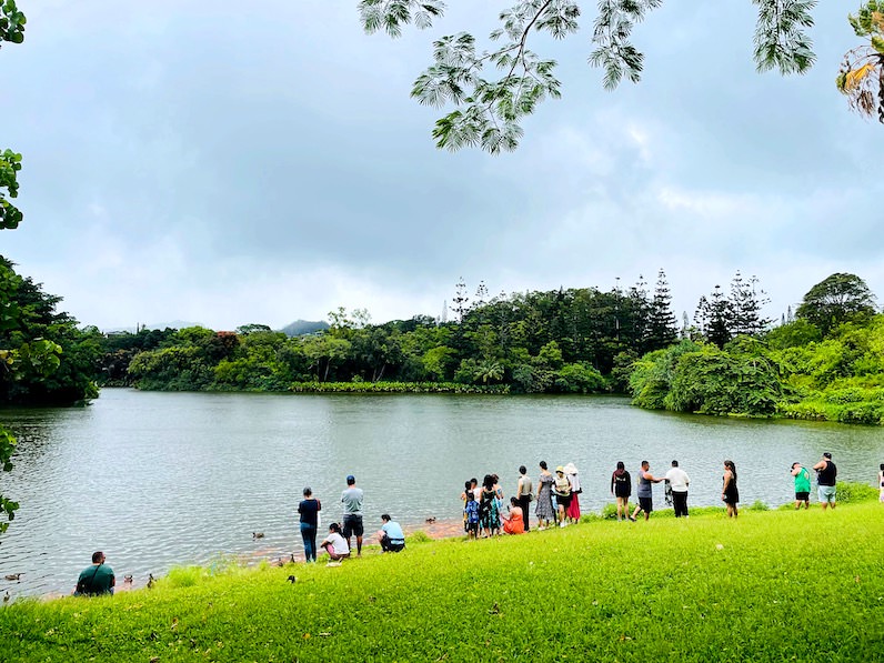 ホオマルヒア植物園の池に集まる人々