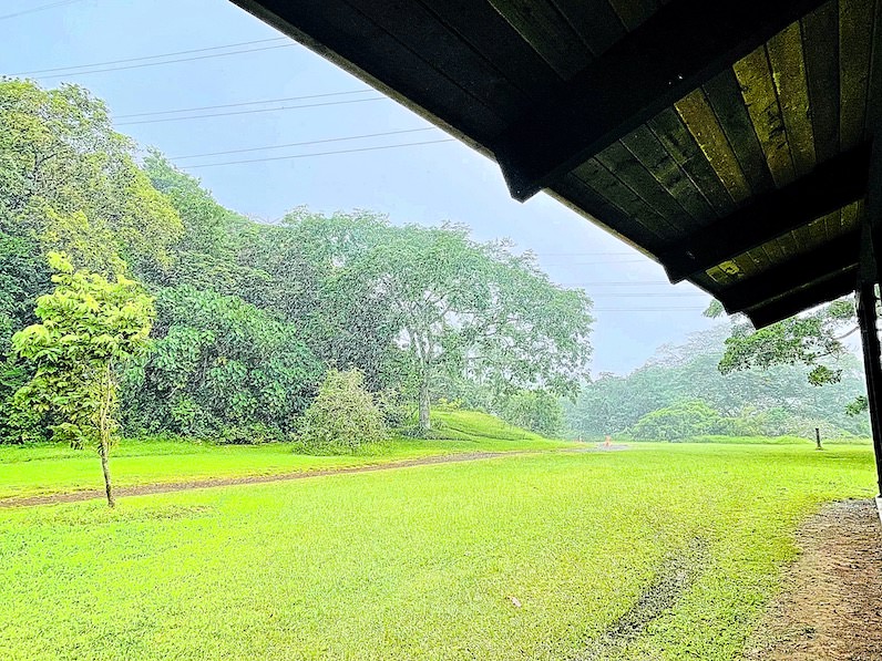 ホオマルヒア植物園の突然の大雨