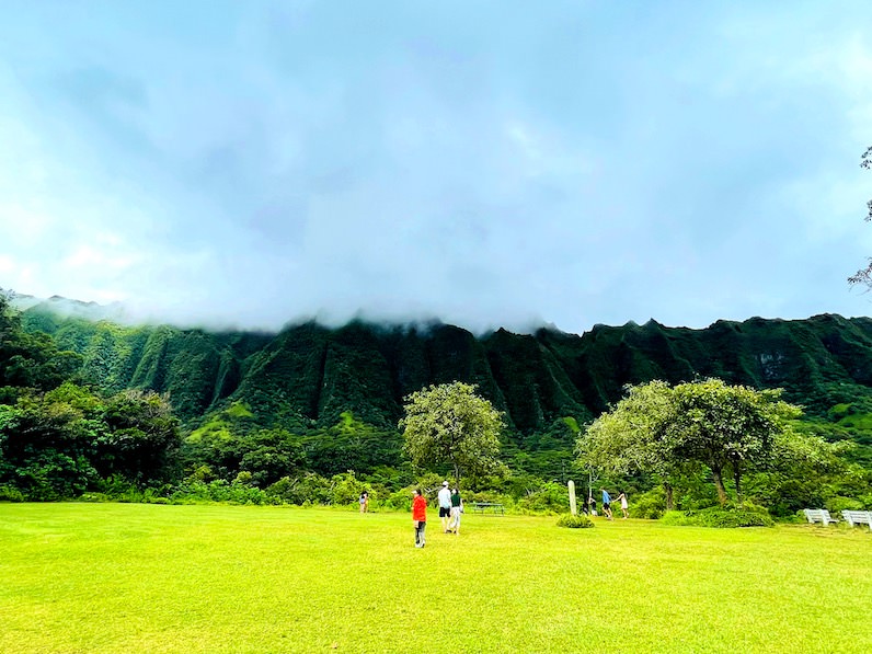 ホオマルヒア植物園の絶景