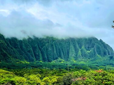 ホオマルヒア植物園で絶景を楽しもう！｜南国の植物、コウラウ山脈、鯉の池